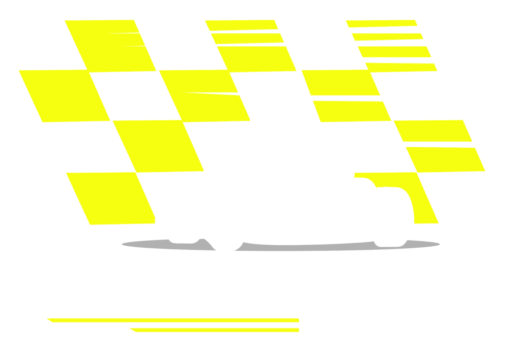 Hoofdsponsor Mika Vonk Karting - Prozee Techno Service