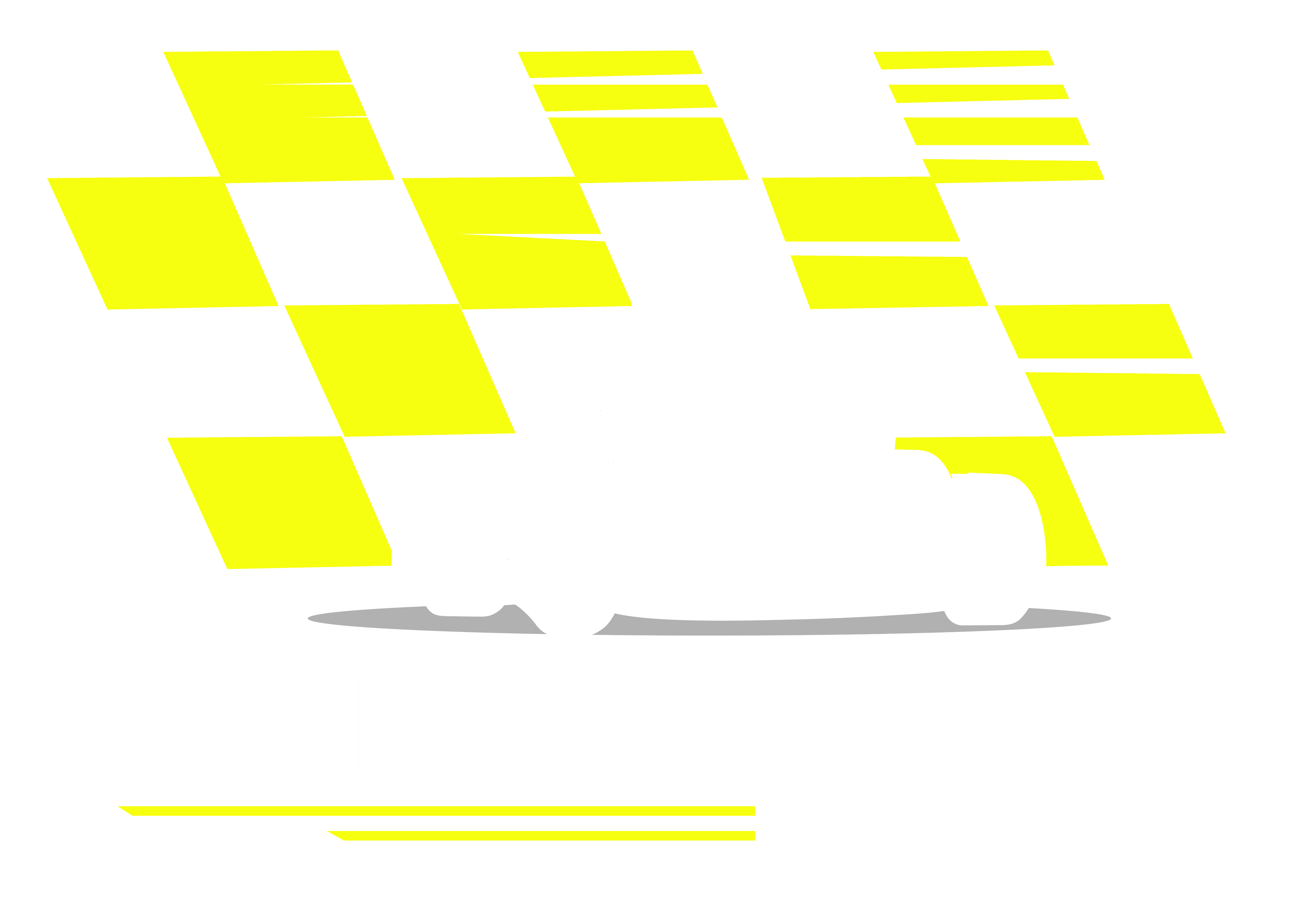 Hoofdsponsor Mika Vonk Karting - Prozee Techno Service